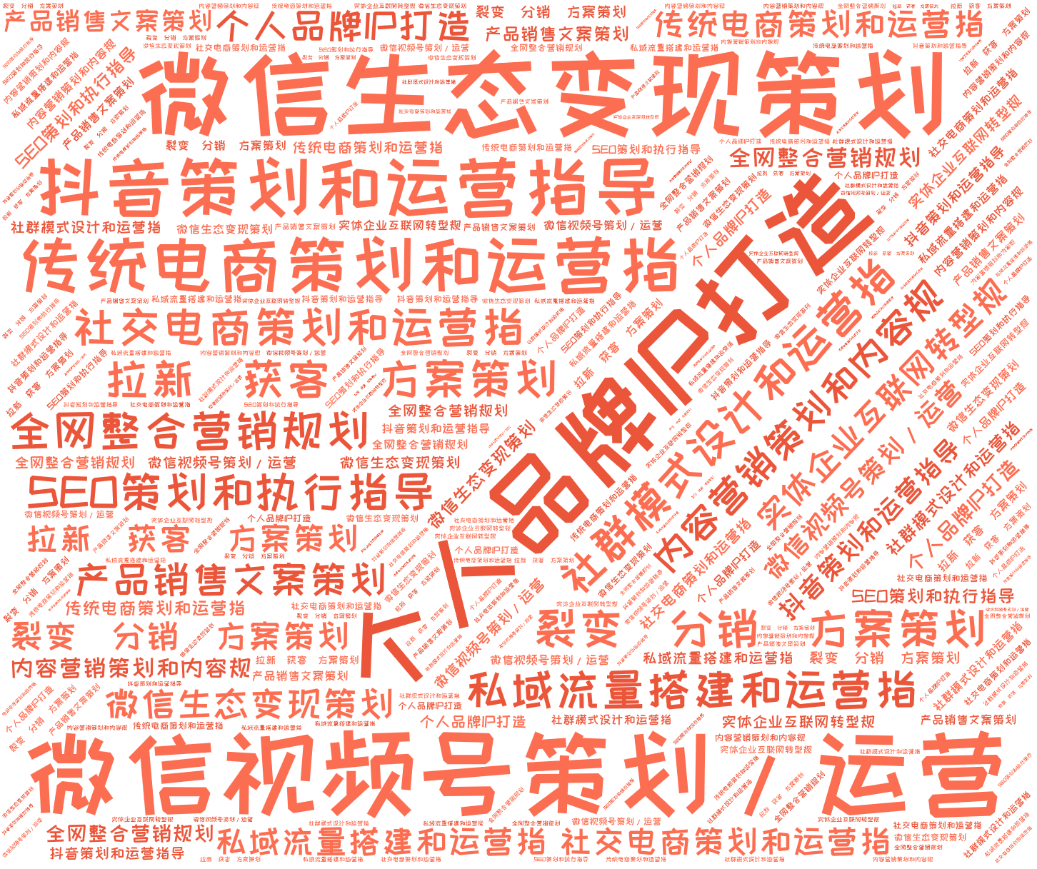 词云图,文字云图,个人品牌IP打造,微信生态变现策划,微信视频号策划/运营,抖音策划和运营指导,传统电商策划和运营指,社交电商策划和运营指,私域流量搭建和运营指,社群模式设计和运营指,拉新（获客）方案策划,裂变（分销）方案策划