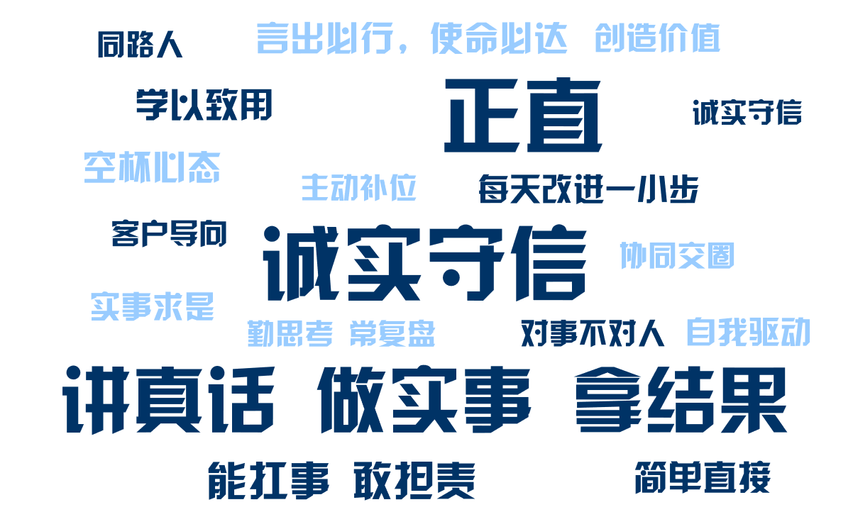 词云图,文字云图,诚实守信,正直,讲真话 做实事 拿结果,能扛事 敢担责,言出必行，使命必达,空杯心态,学以致用,简单直接,每天改进一小步,创造价值