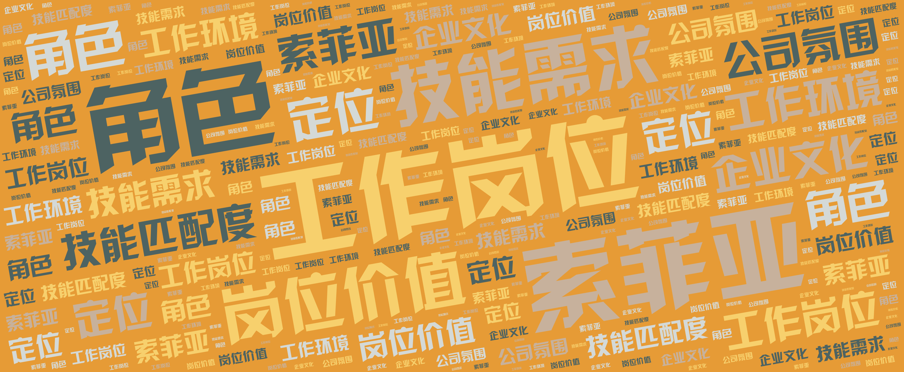 词云图,文字云图,工作岗位,角色,索菲亚,技能需求,岗位价值,技能匹配度,工作环境,企业文化,定位,公司氛围