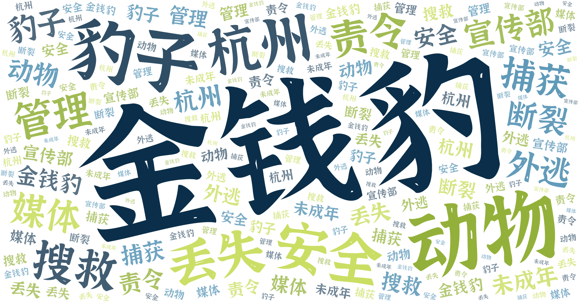 词云图,文字云图,金钱豹,豹子,动物,安全,杭州,丢失,责令,搜救,管理,宣传部