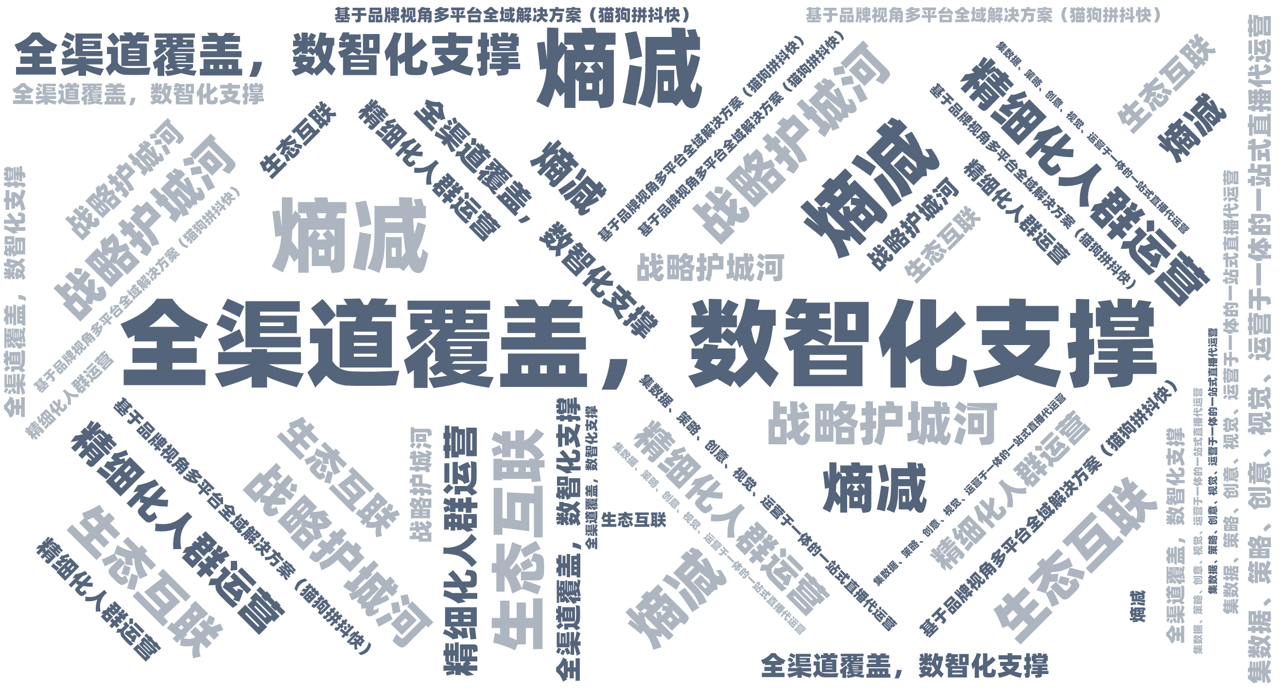 词云图,文字云图,全渠道覆盖，数智化支撑,精细化人群运营,战略护城河,基于品牌视角多平台全域解决方案（猫狗拼抖快）,集数据、策略、创意、视觉、运营于一体的一站式直播代运营,生态互联,熵减